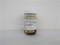 藏品(彩鷸)的圖片